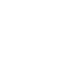 outline graphic of a rosette