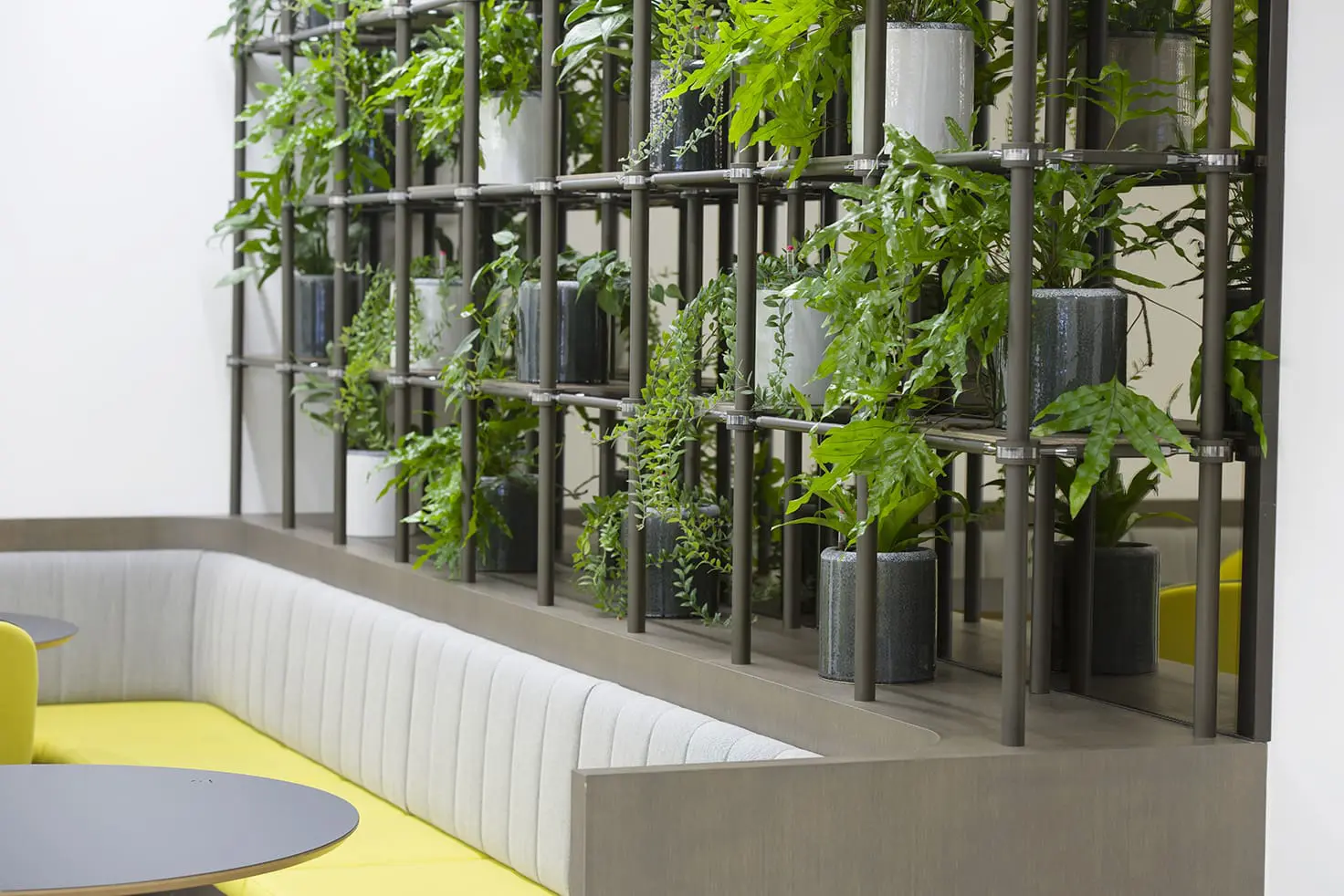 Planters, Containers and Your Office Aesthetic 3 Plant rack office biophilia