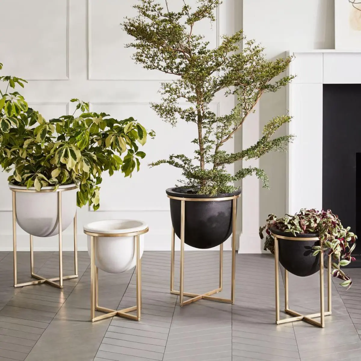 Planters, Containers and Your Office Aesthetic 4 Selection of pots on legs