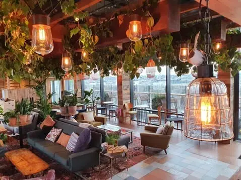 Planteria urban jungles