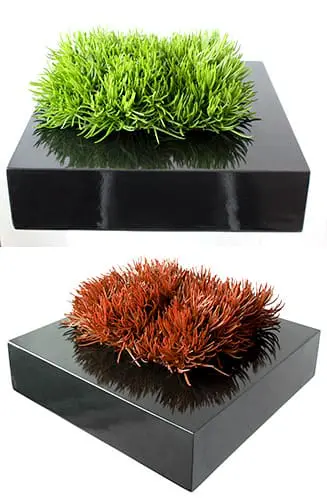 Factors to Consider When Choosing the Right Pot 3 Vegasplant