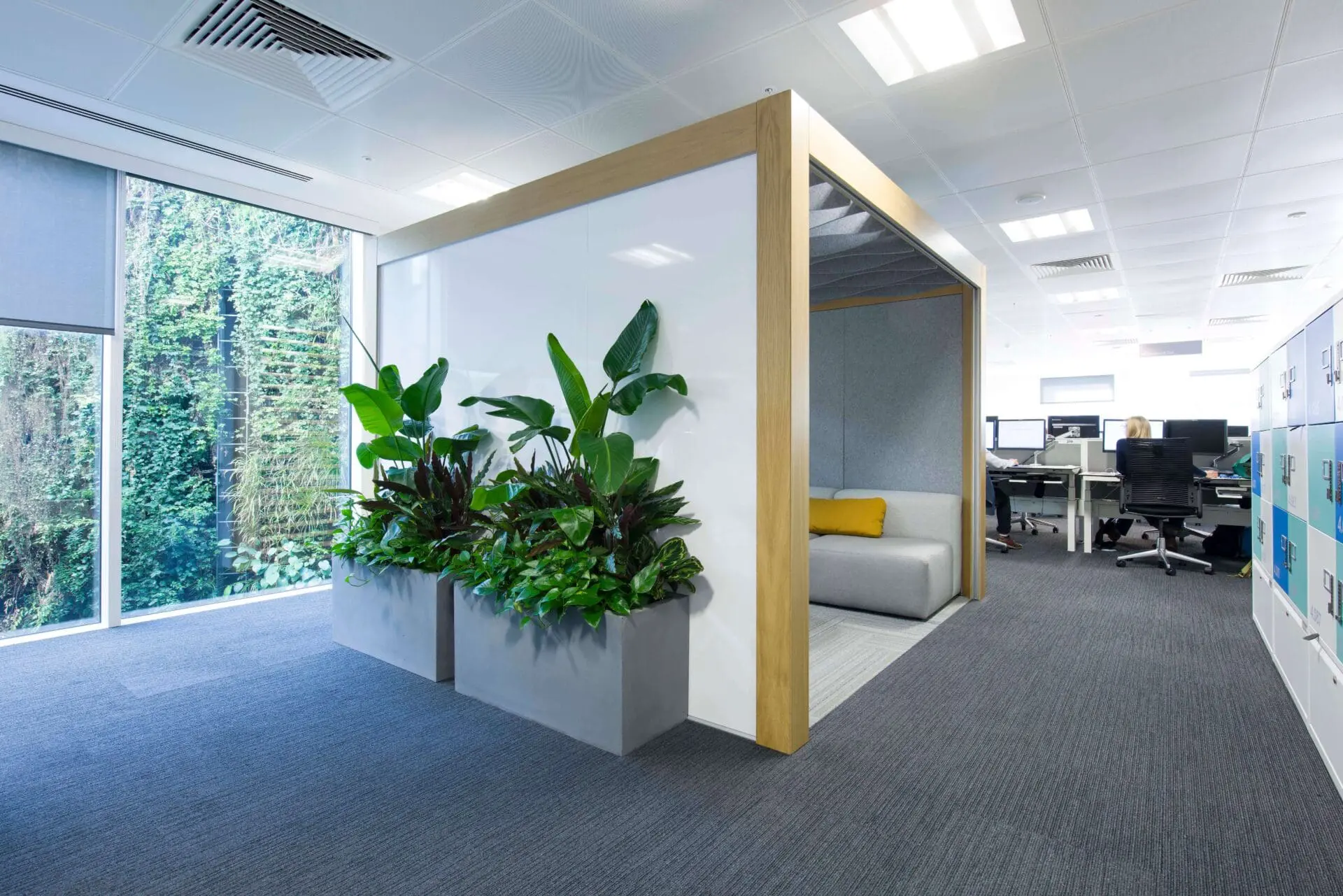 Large open plan office with large planters