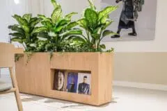 Modus_Fora-121 - cropped