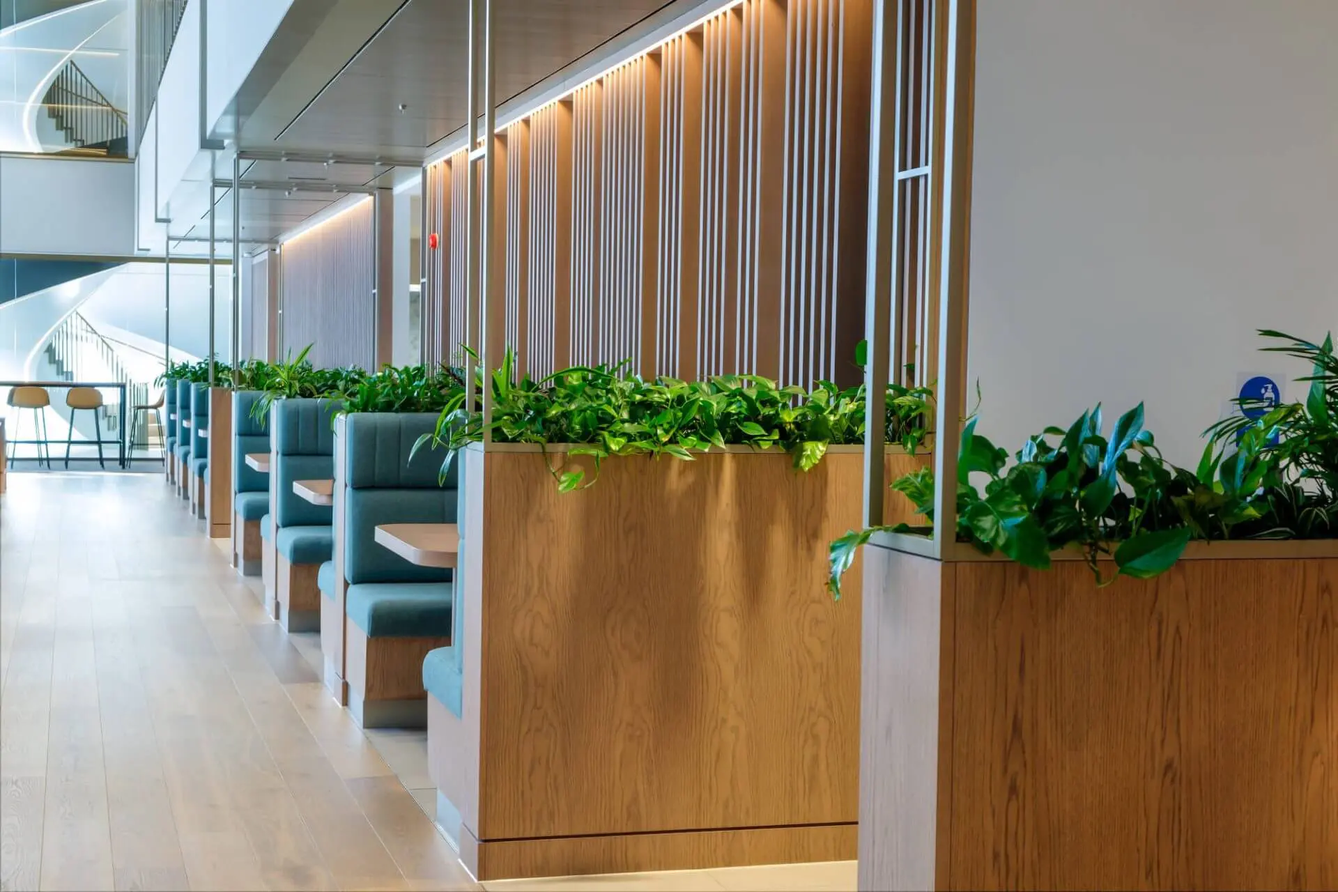 Plants in modern open office set up with wooden decor