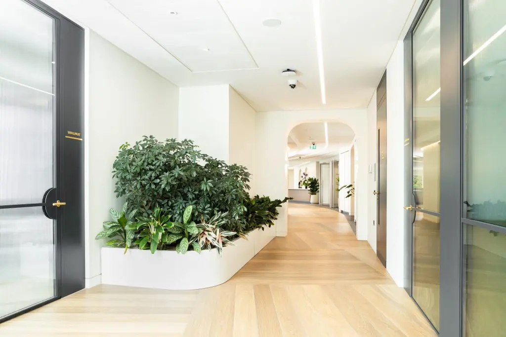 The Role of Planting in Achieving WELL Certification 1 Planteria group
