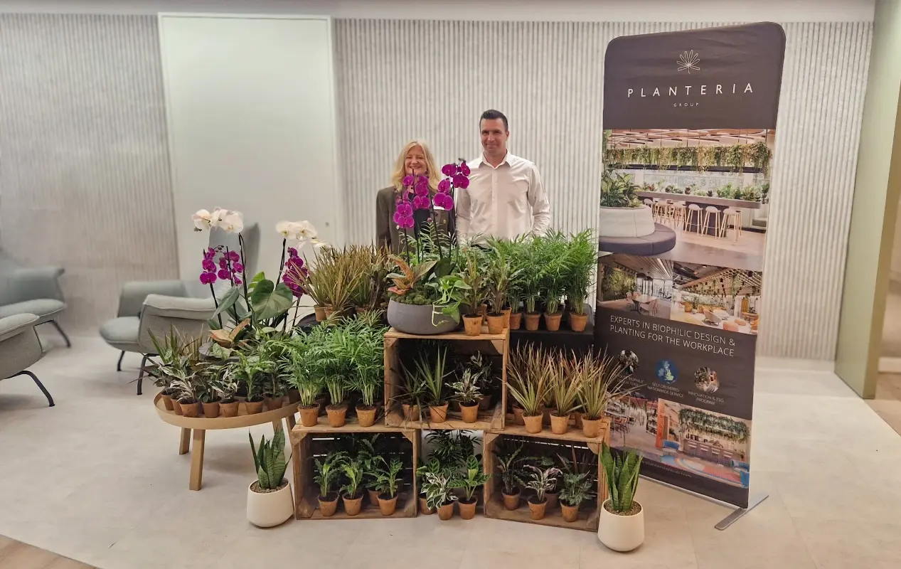 Planteria group
