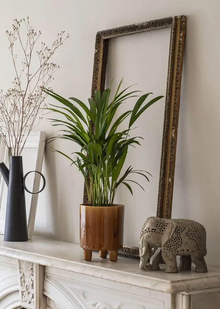 Planteria group