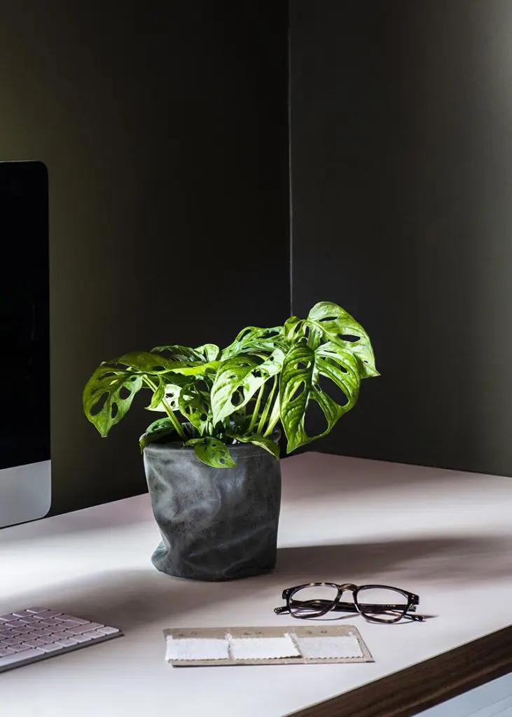 Planteria group