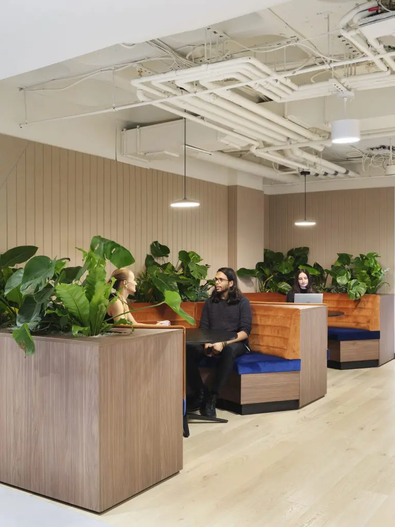 6 Plants That Induce Office Relaxation 11 Planteria group