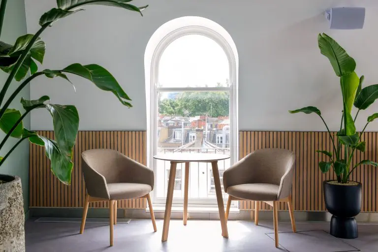 The science of wellness in the workplace 16 Planteria group