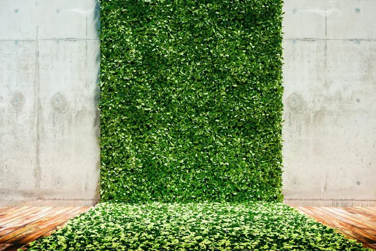 The Complete Guide to Green Walls 95 Planteria group