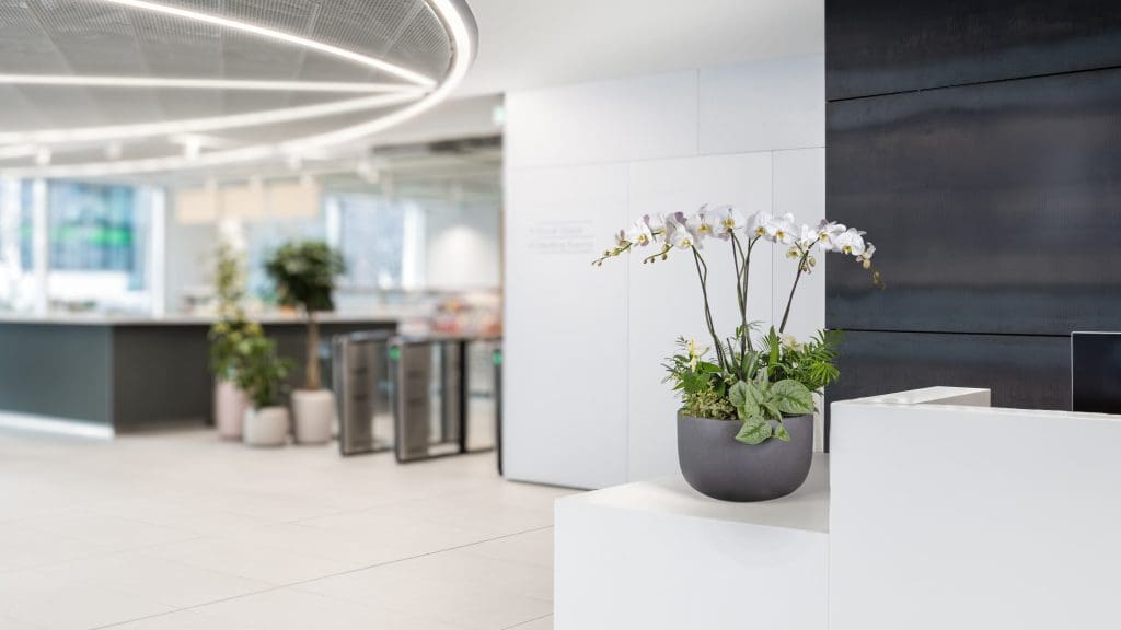 Planteria group