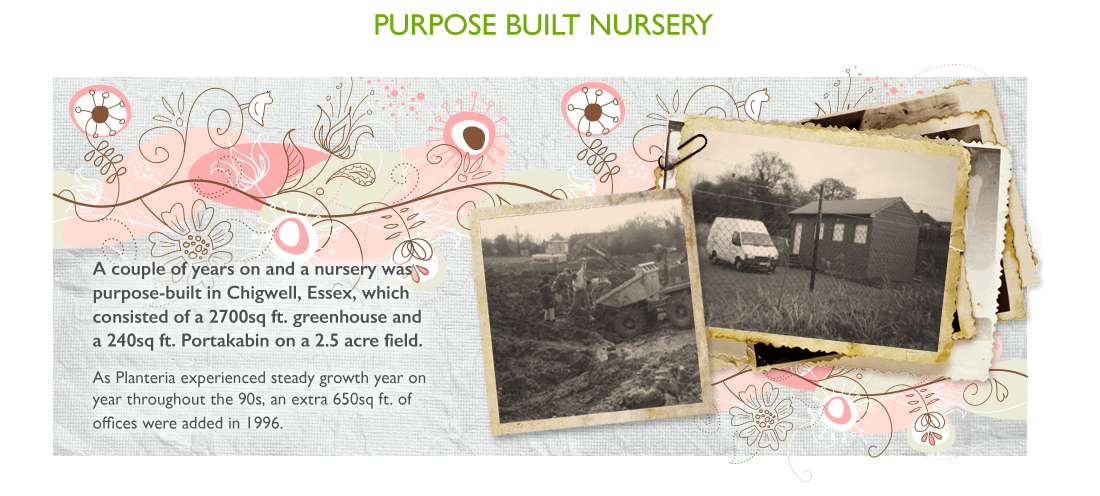 A couple of years on and a nursery was purpose-built in chigwell, essex, which consisted of a 2700sq ft. greenhouse and a 240sq ft. portakabin on a 2.5 acre field. As planteria experienced steady growth year on year throughout the 90s, an extra 650sq ft. of offices were added in 1996.