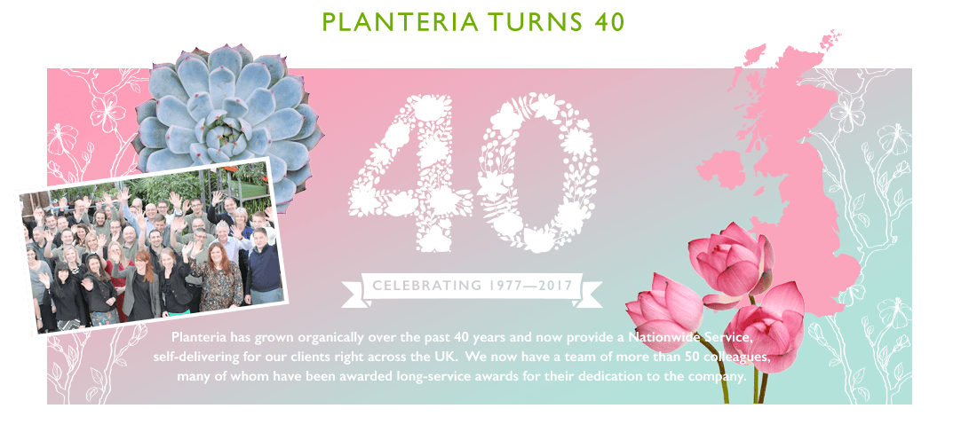 40 celebrating 1977- 2017. Planteria has grown organically over the past 40 years and now provide a nationwide service, self-delivering for our clients right across the uk. We now have a team of more than 50 colleagues, may of whom have been awarded long-service awards for their dedication to the company.