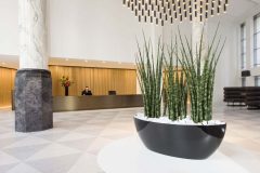 tall plants in black long planter in reception area