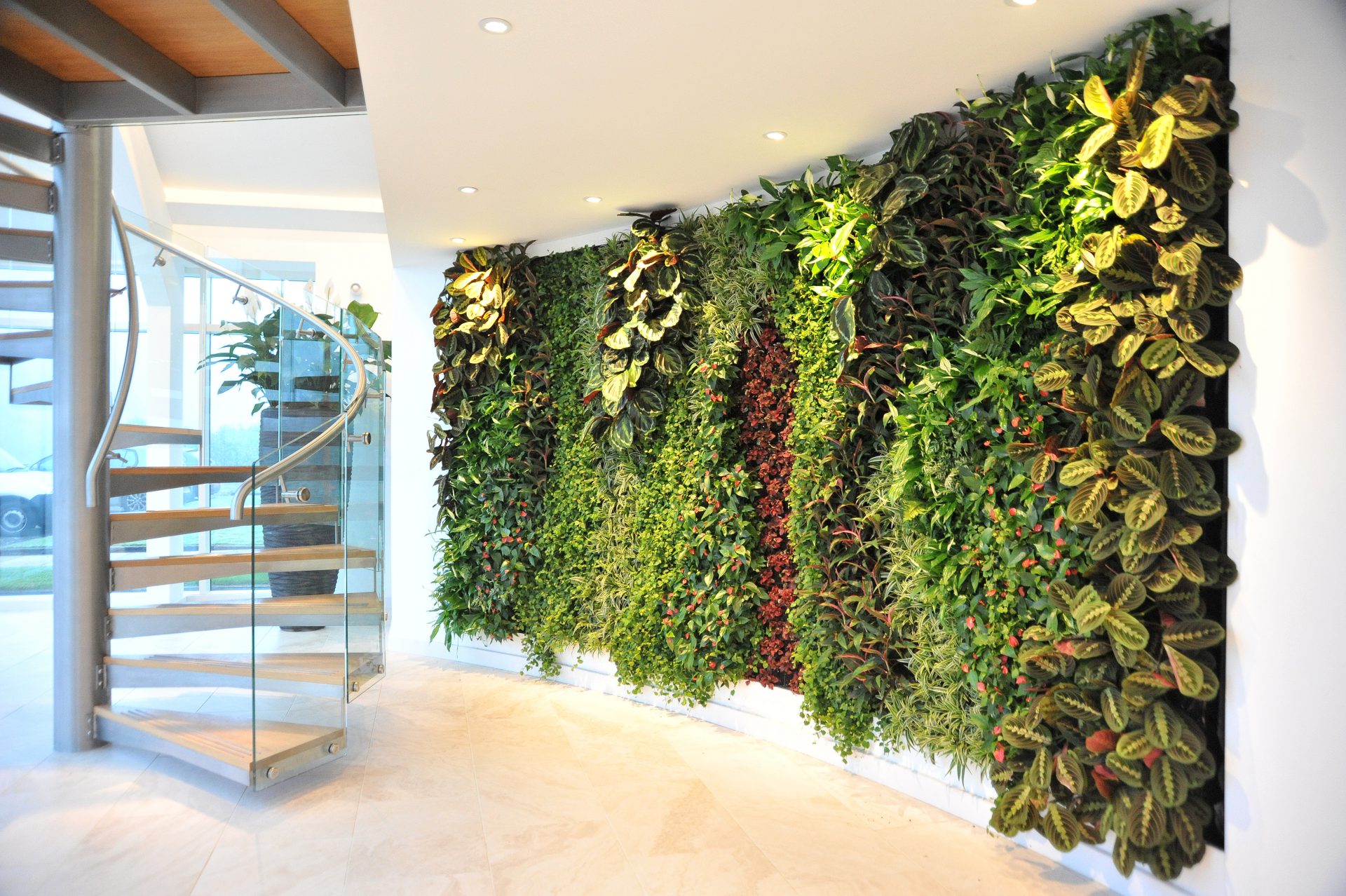 Green feature wall