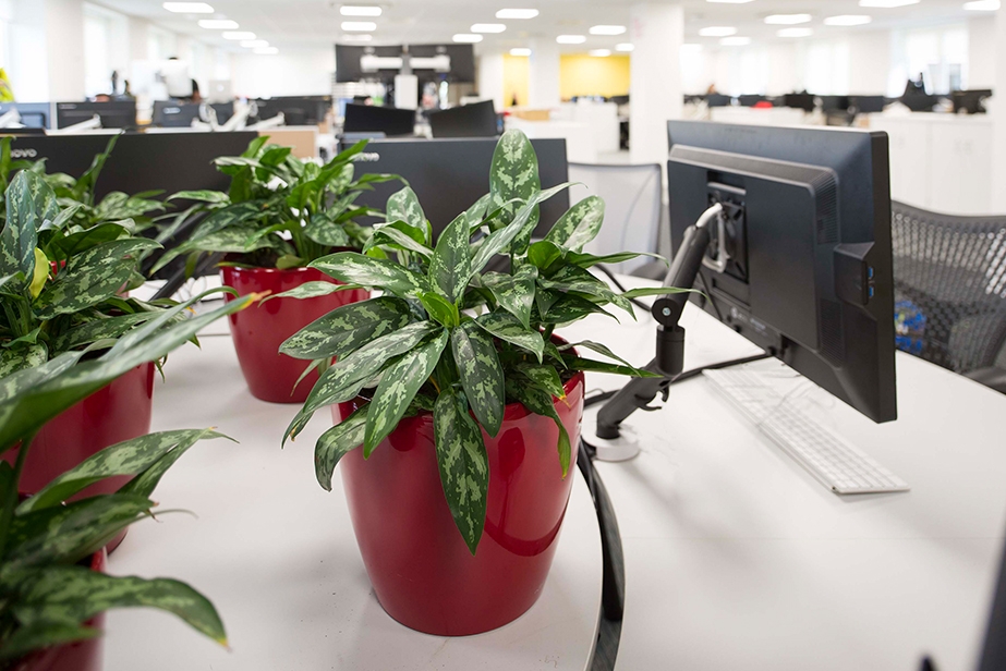 red plant pots in open office space