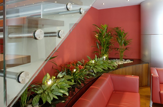 open plan office with red walls and sofa with planting areas next to staircase