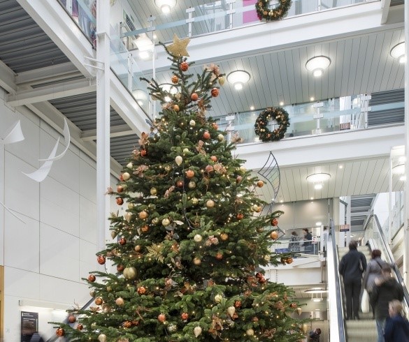 The top of a large christmas tree in a shopping centre. Tree has golden star atop and in the background you can see people going up an escalator