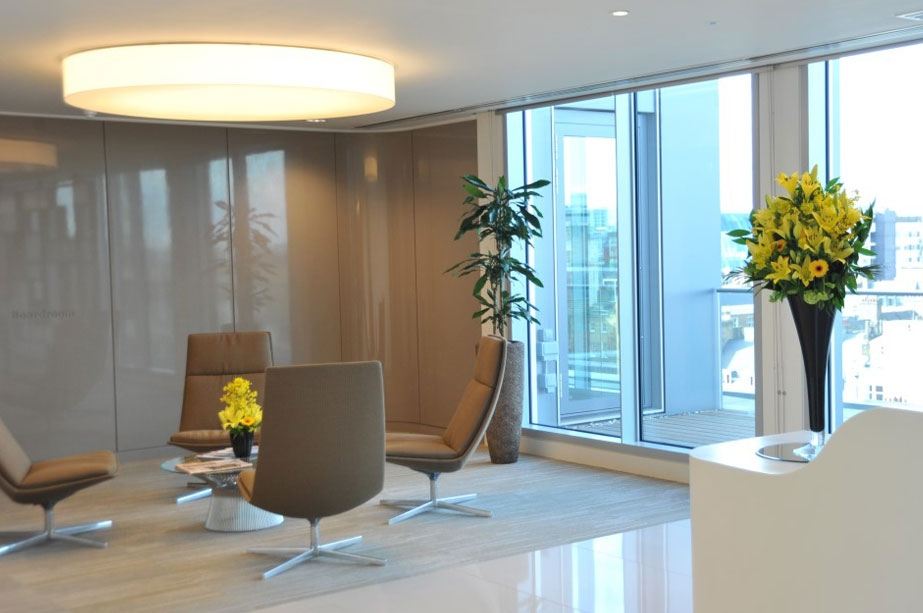Plants adorning contemporary office waiting area