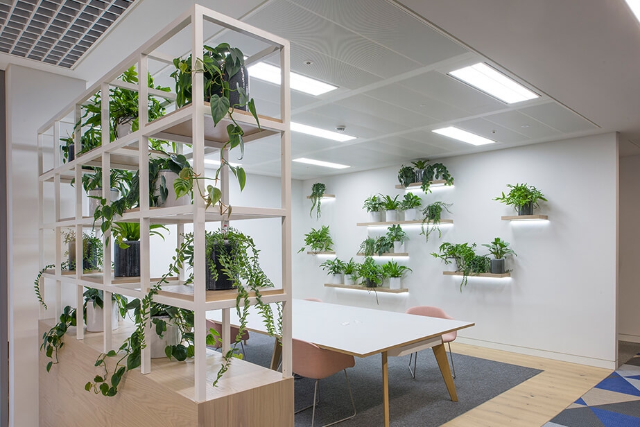 plants on white shelving in communal office space