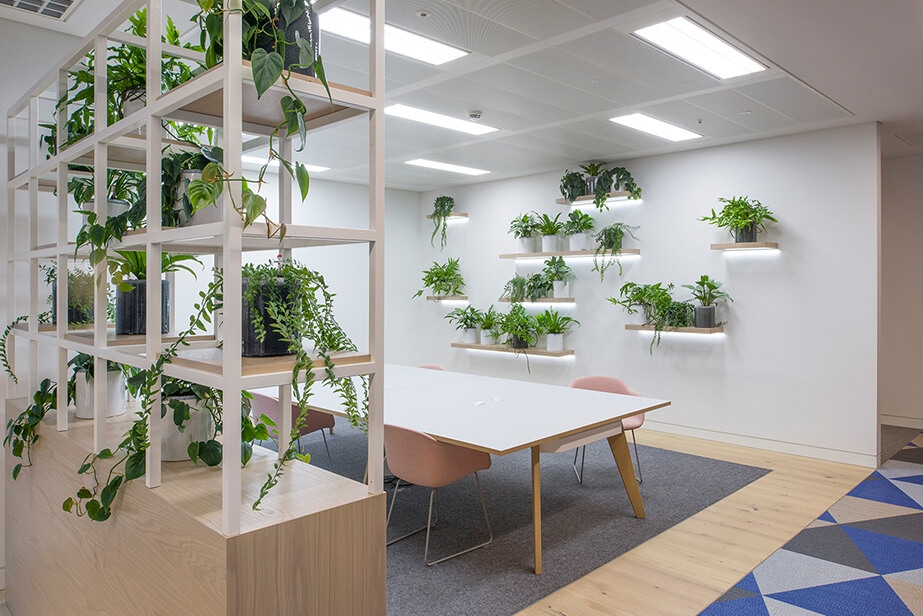 plants on white shelving in communal office space