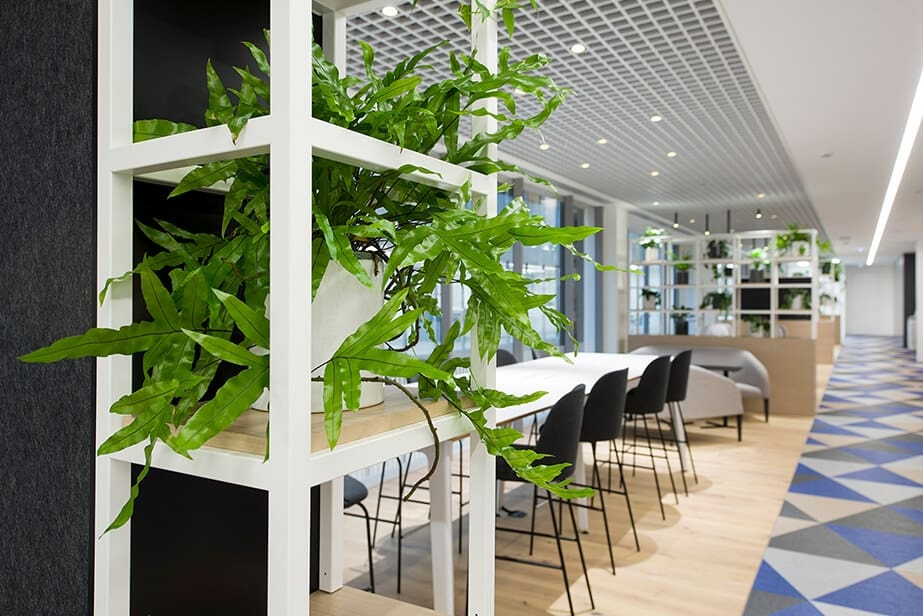 plants on white shelf with shared office space behind