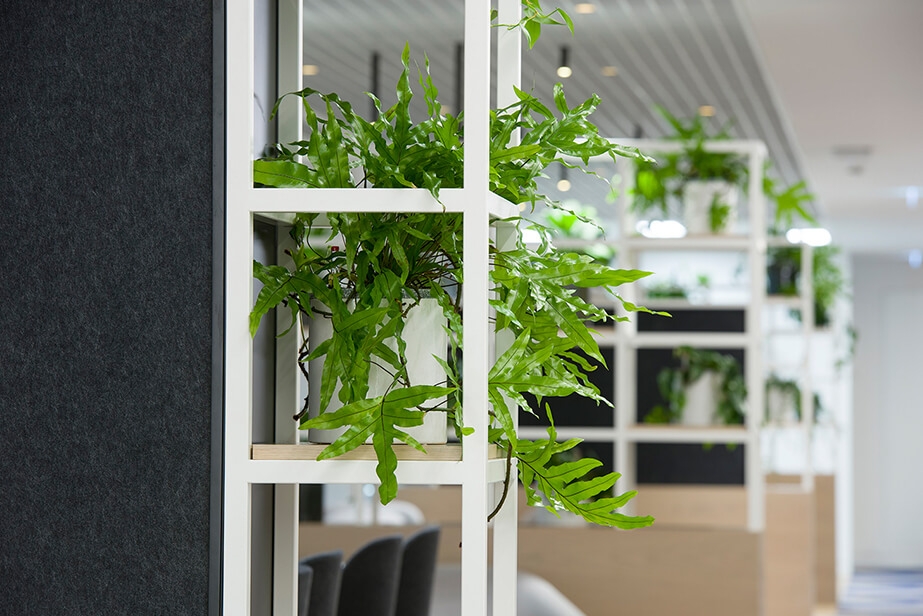 Long open study space with plant wall dividers