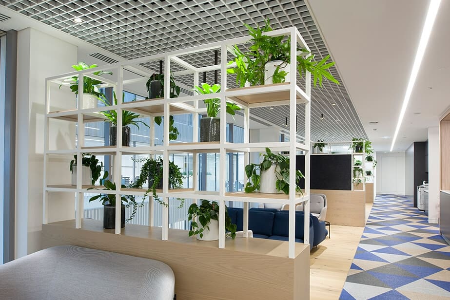 large white pipe shelving with plants