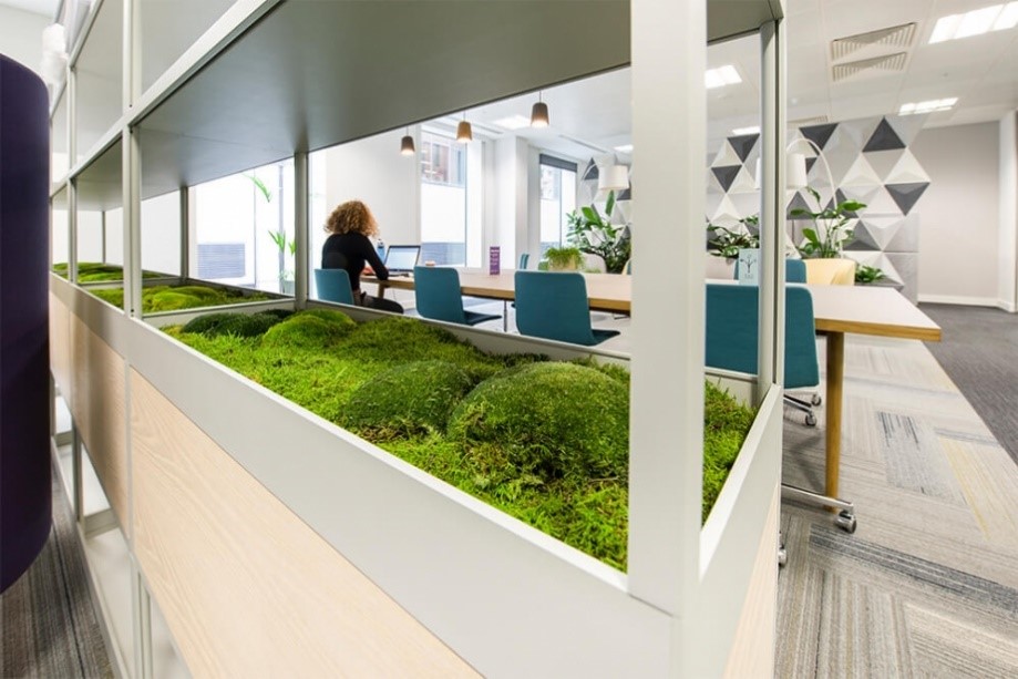 mossy green area in middle of office