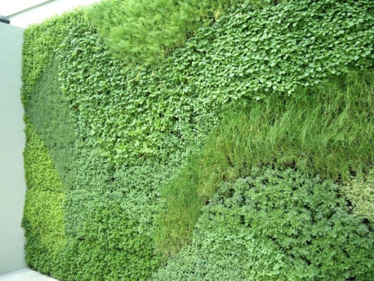 office moss wall