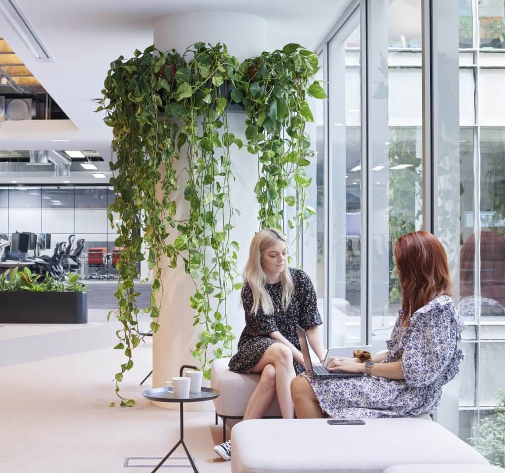 workplace wellbeing