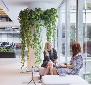 Workplace wellbeing