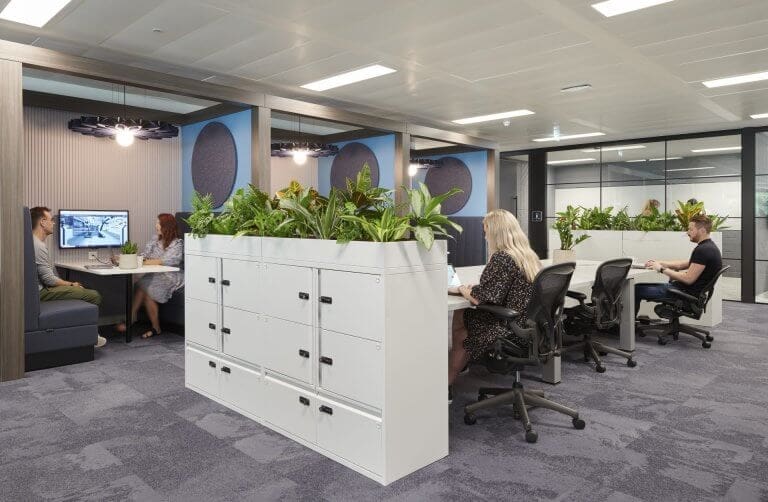 Communal office area with plants