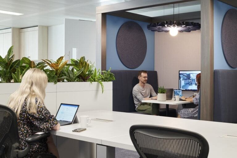 Communal office area with plants