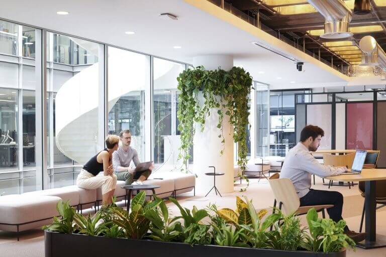 Communal office area with plants