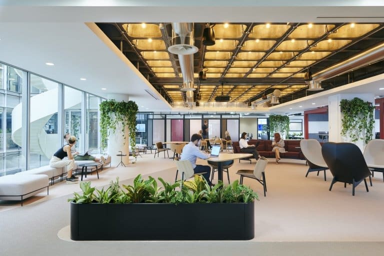 Office area with plants