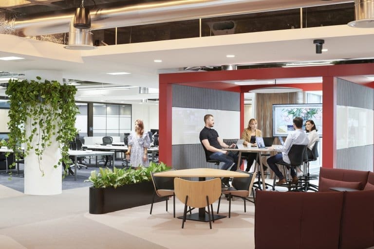 Office area with plants