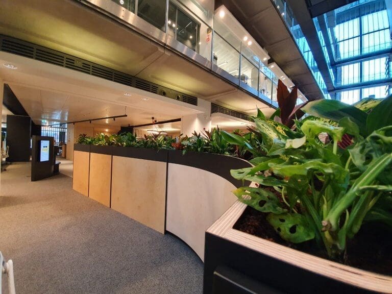 Communal office area with plants