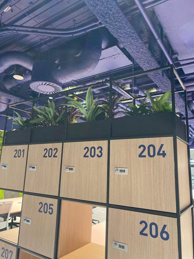 plants on top of storage lockers