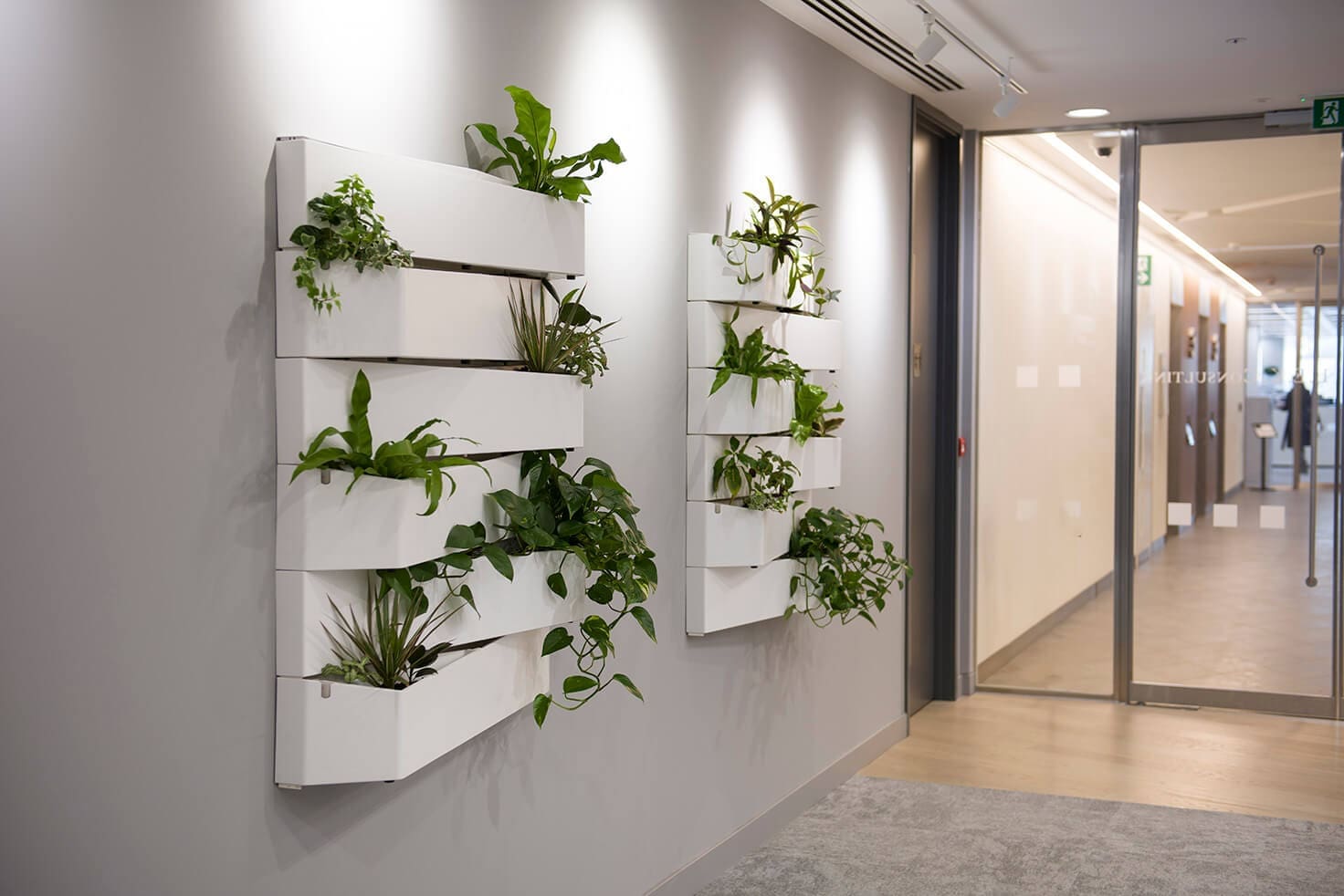 Living wall inside building walkway