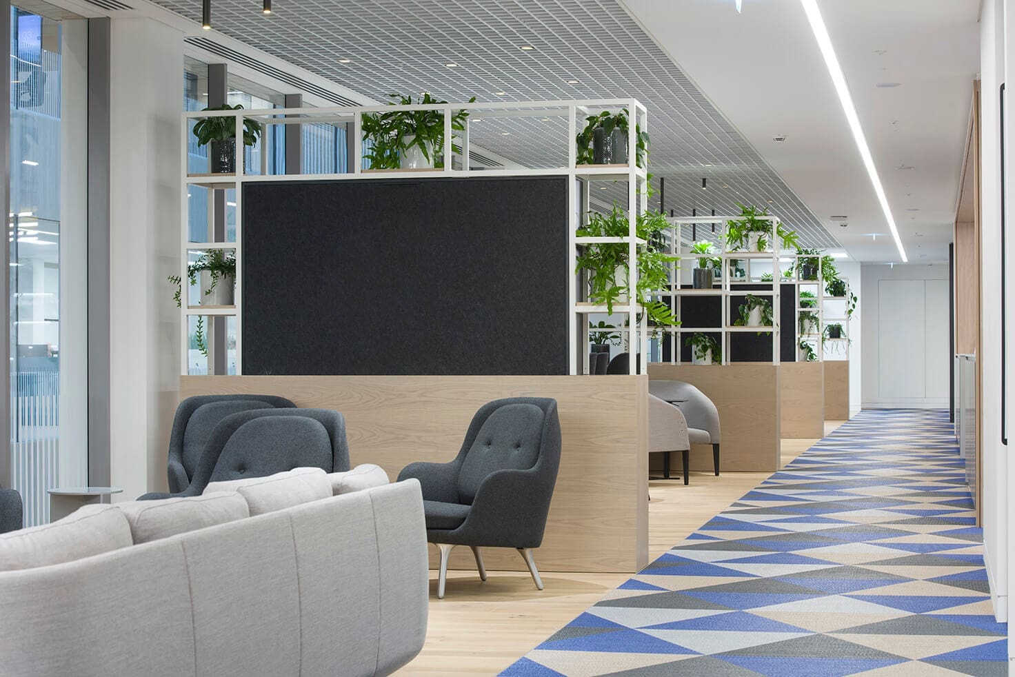 Communal areas with plant dividers