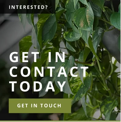 get in contact today white text overlaying an image of a plant in an office
