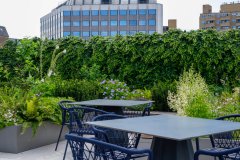 outdoor roof top work space with foliage and plants