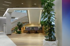 plants in communal work space