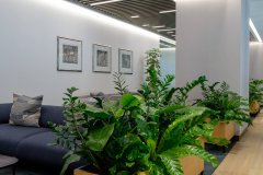 plants in communal work space