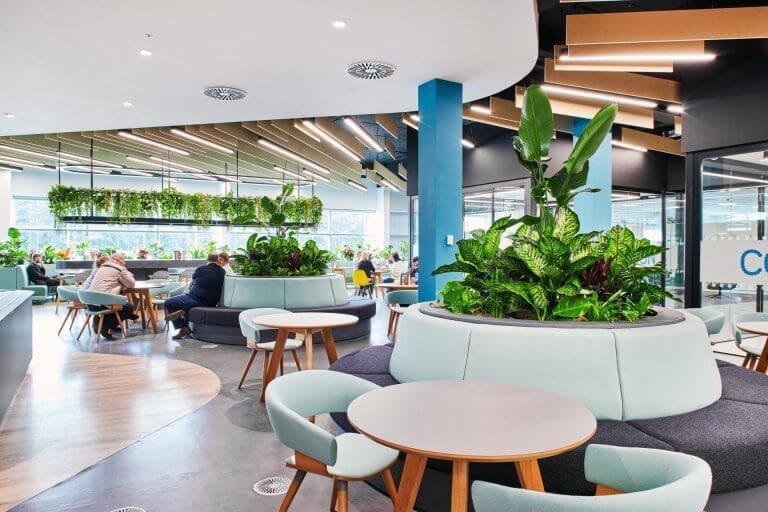 Planteria group