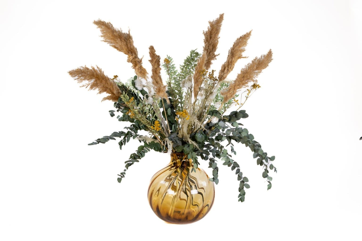 Dried Flowers Planteria