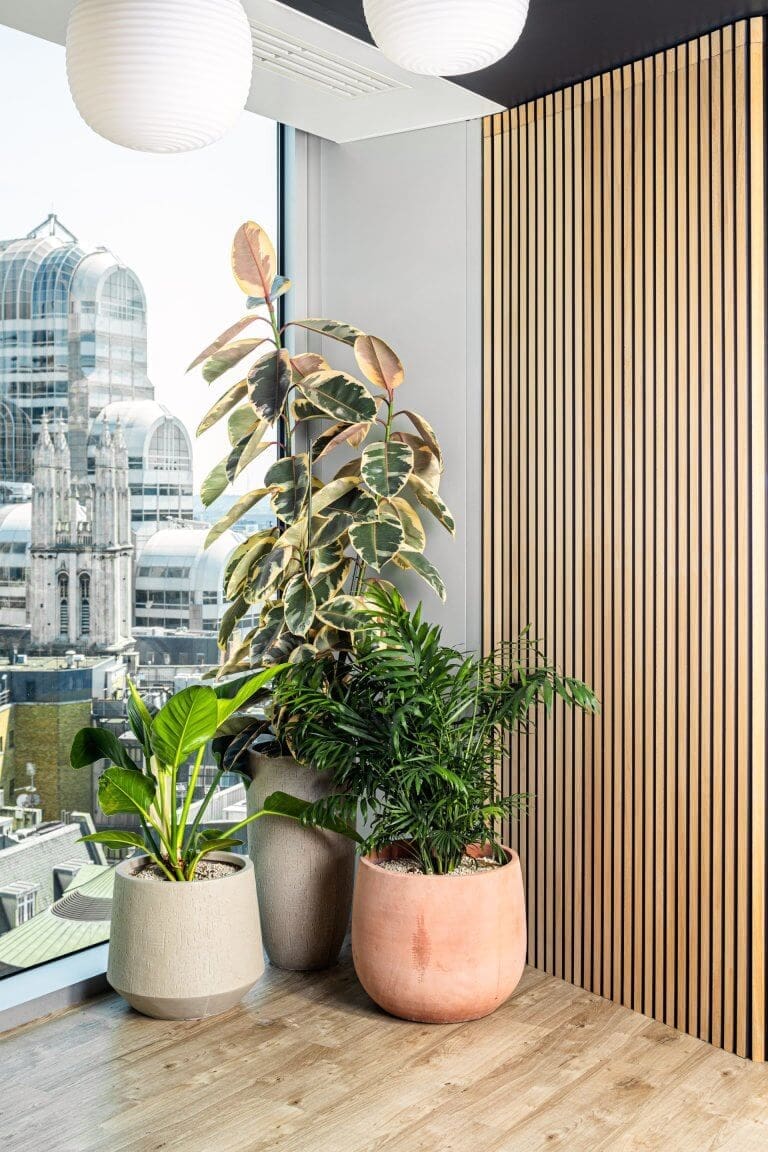 Planting and pots at endava, london by planteria