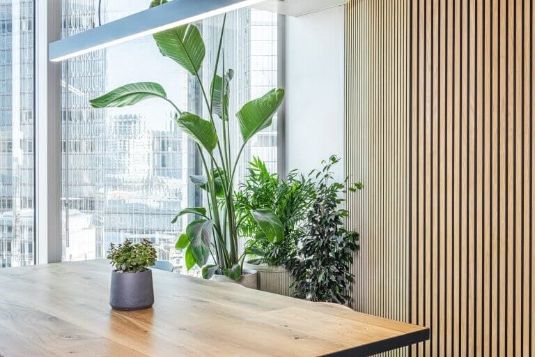 Planting and pots at endava, london by planteria